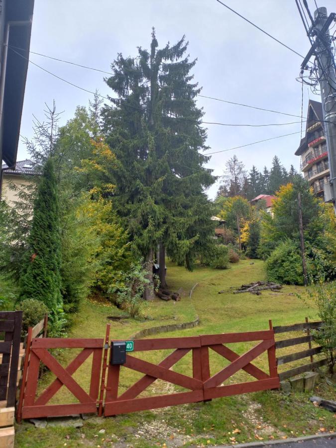 Apartament Aosta Central Sinaia Lägenhet Exteriör bild